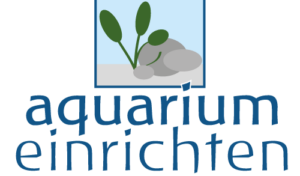 Aquarium Einrichten