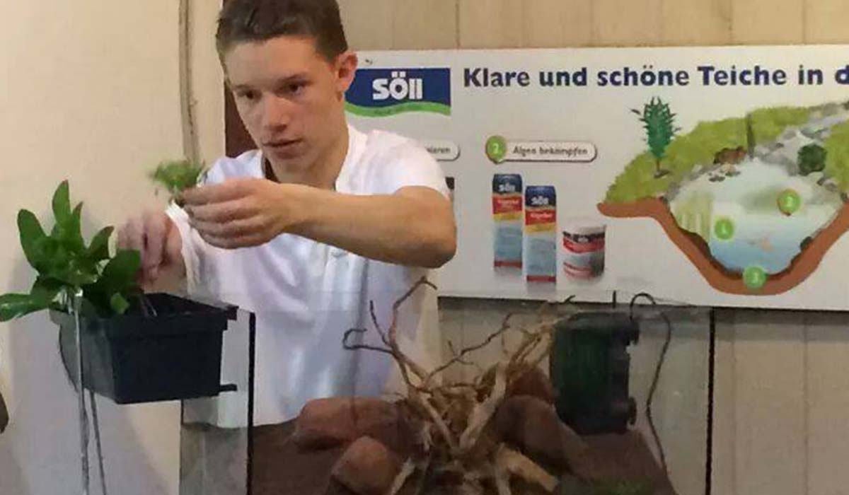 Bild
